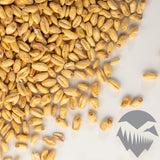 White Wheat Malt