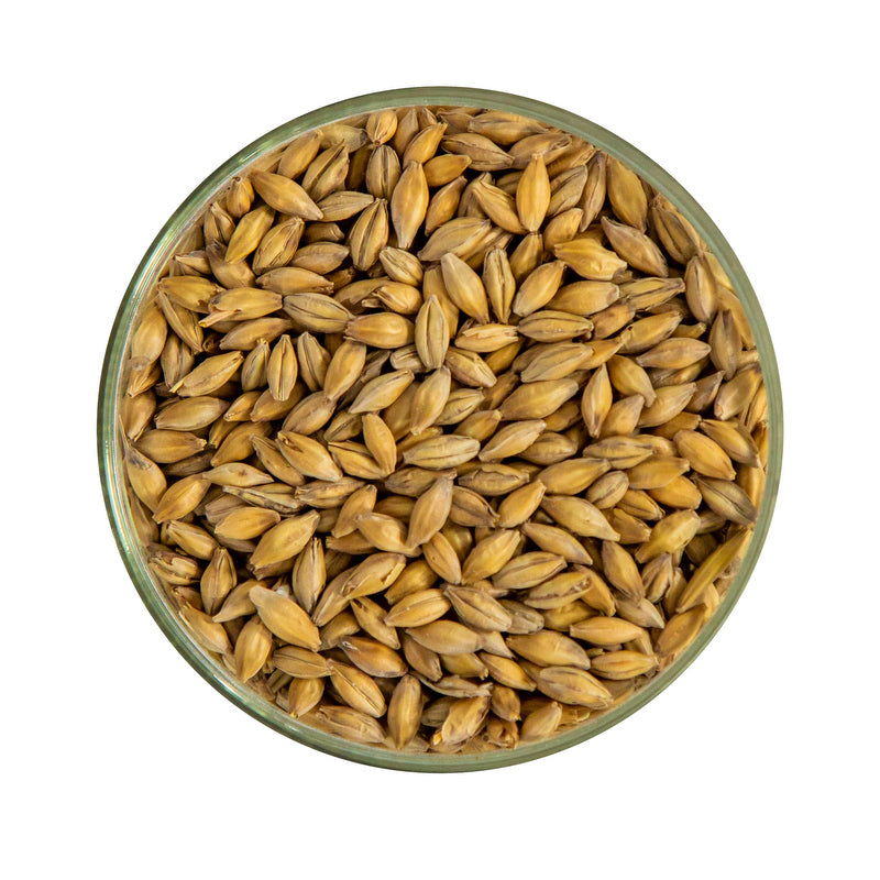 Golden Promise Malt