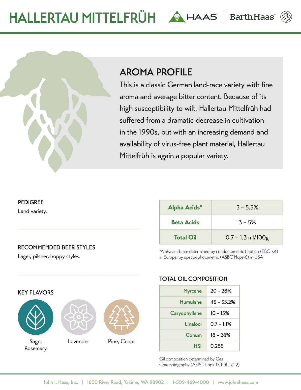 Hallertau Mittelfruh Hop Aroma Profile 