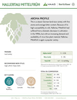 Hallertau Mittelfruh Hop Aroma Profile 