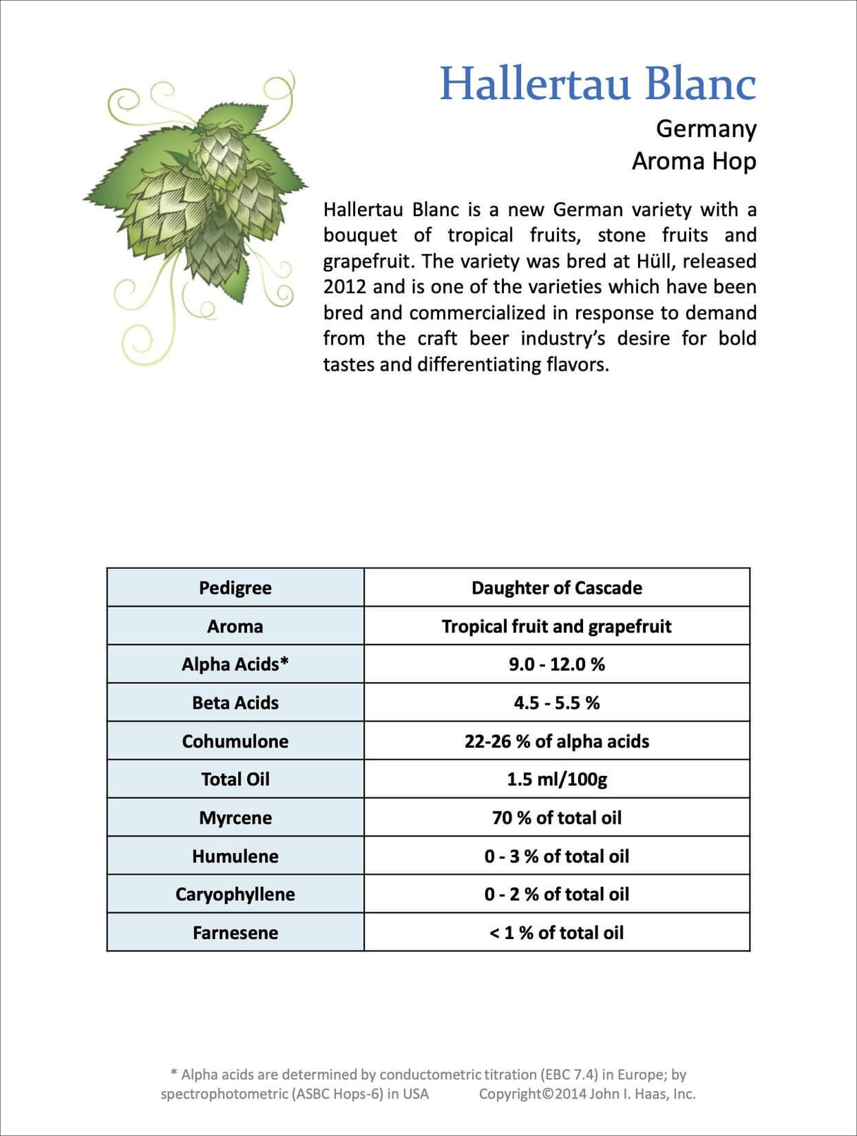 Hallertau Blanc Hop Profile