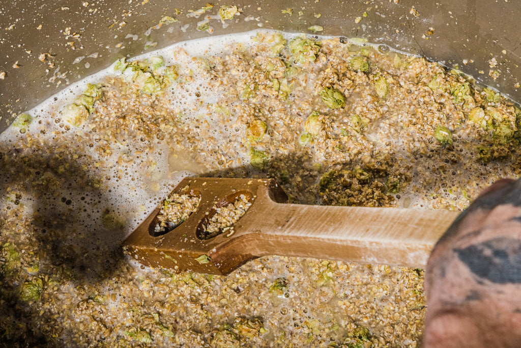 Brewer making beer by stirring whole cone hops into the mash process.