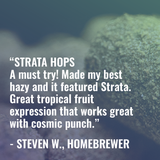 Strata Hops